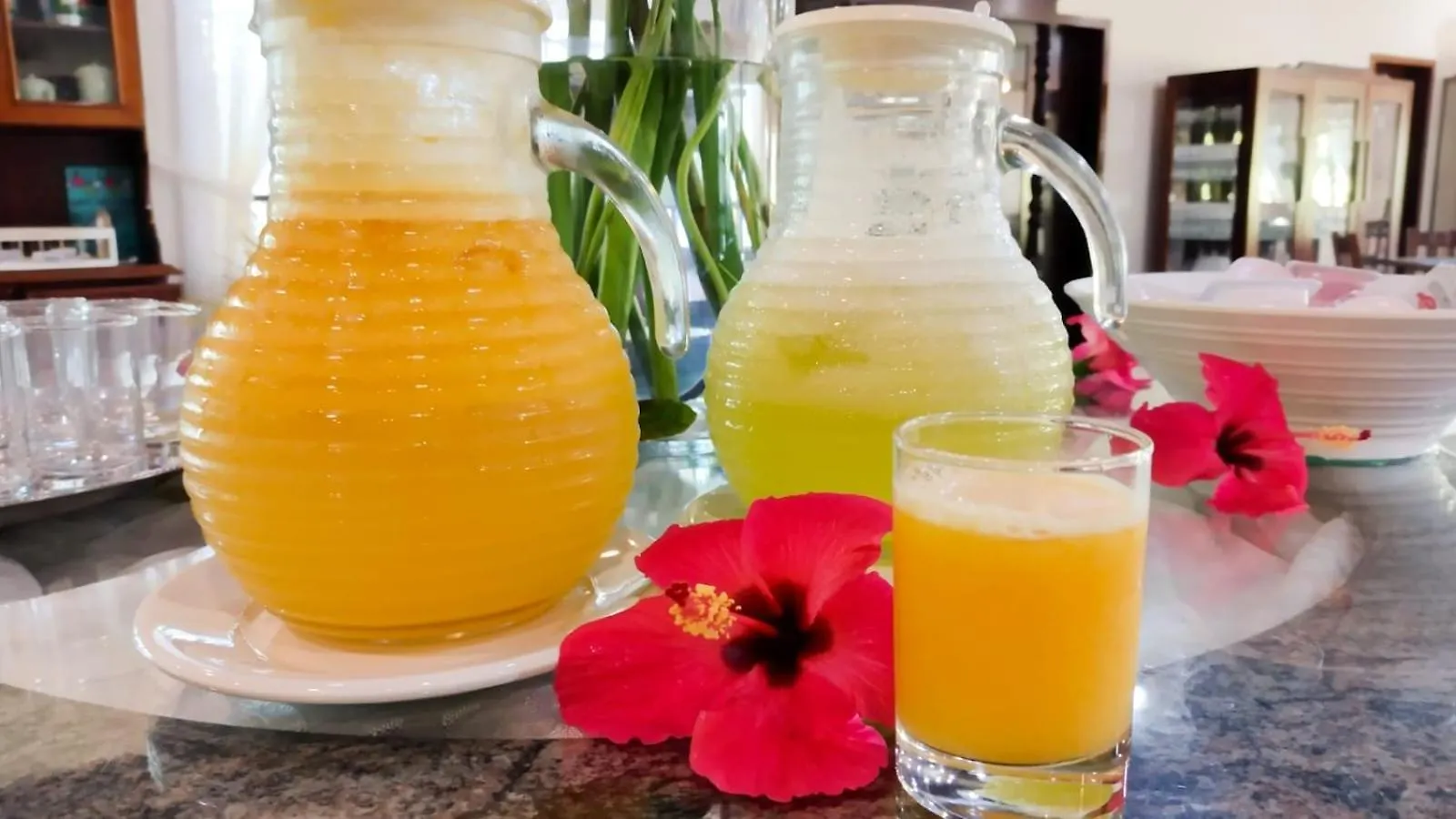 Tureck Garten Hotel Corupá Brésil