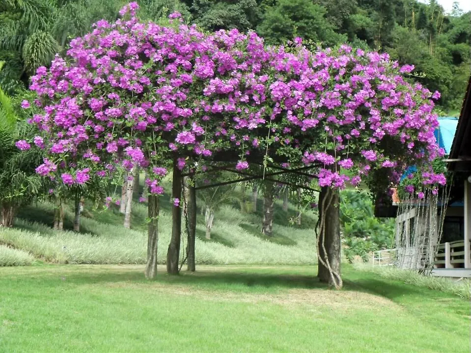 Tureck Garten Hotel Corupa 0*,  Brazil